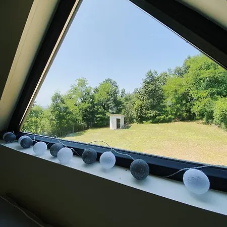 Tiny House Kosmaj Holiday home *